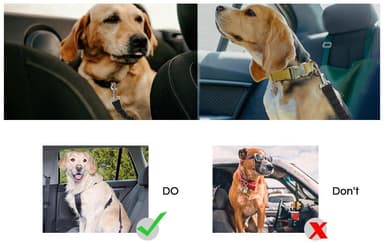 Justerbart säkerhetsbälte för hund Svart