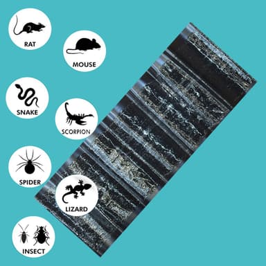 Klibbig musfälla 5-pack Svart M