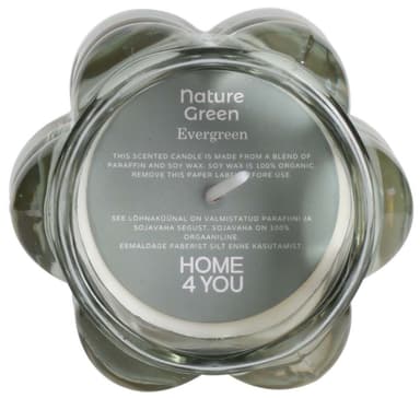 Doftljus i glas NATURE GREEN H9,2cm, Evergreen