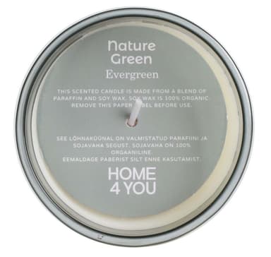 Doftljus i glas NATURE GREEN H9,5cm, Evergreen