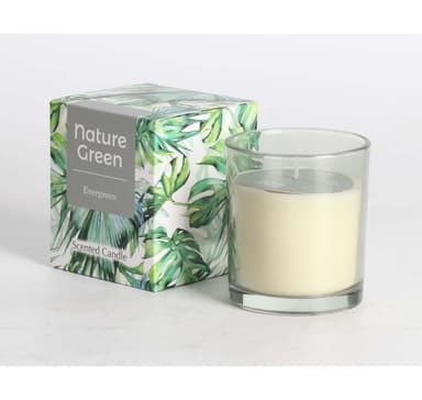 Doftljus i glas NATURE GREEN H9,5cm, Evergreen