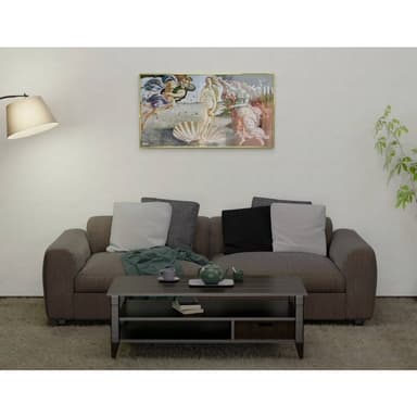 Infranomic GHE-S-M10-134 infraelement 500 W 12 m2 Silver