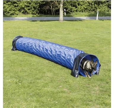 Hundaktivitet Agility bastunnel, ø 60 cm/5 m, blå