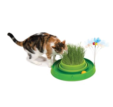 Leksak för katter kretsboll med gräs, Catit