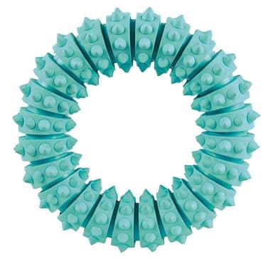 Leksak för hundar dentafun ring mint smak 12cm., Trixie