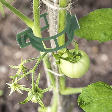 Växtklämmor för plantstöd/spaljé 100-pack Grön