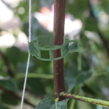 Växtklämmor för plantstöd/spaljé 100-pack Grön