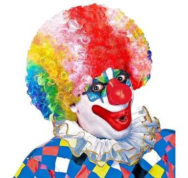 Clownperuk flerfärgad