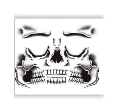 Tatuering Halloween Face Skelett 30x14cm