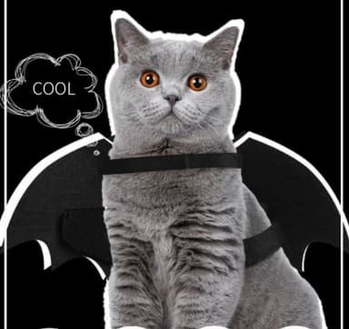 Halloween Maskeraddräkt Batman för hund/katt (storlek L)