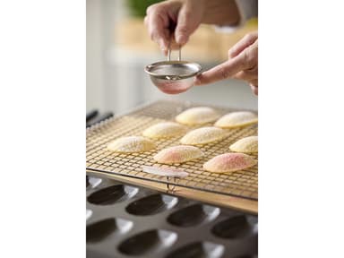 Blomsterbergs Madeleine mould for 12 pcs. Steel