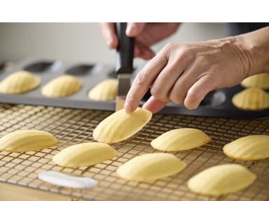 Blomsterbergs Madeleine mould for 12 pcs. Steel