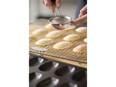 Blomsterbergs Madeleine mould for 12 pcs. Steel