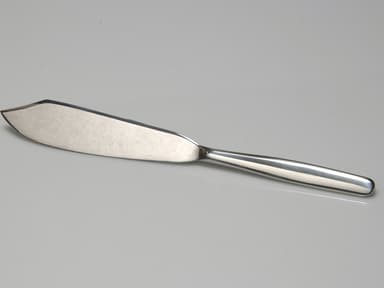 Funktion Cake knife 30 cm