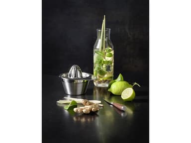 Rösle Citrus squeezer Dia 14 x 12.2 cm 50 cl Steel