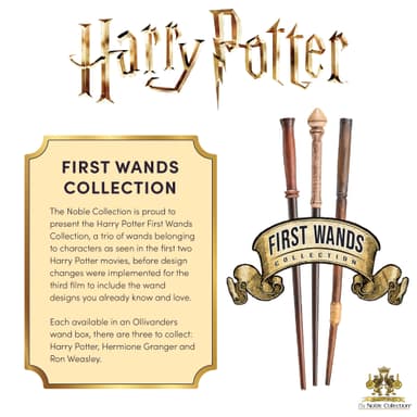 Nobel Collection Harry Potter trollspö (Harry Potter)