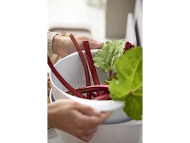 Rosti Colander Margrethe 4 liter White