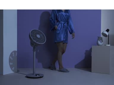 Duux Whisper Flex Stand fan w. Battery pack Grey