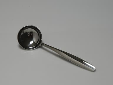Funktion Gravy spoon