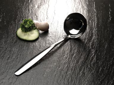 Funktion Gravy spoon