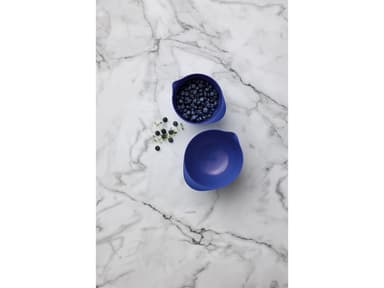 Rosti Skålset 4 dlr Electric blue