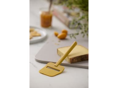 Rosti Emma Cheese plane 19 cm Curry