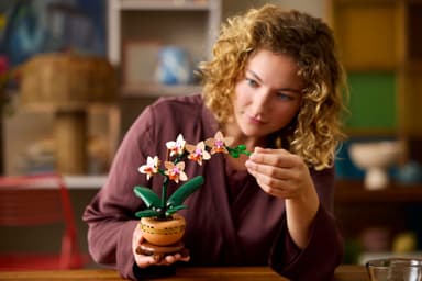 LEGO Botanicals Miniorkidé 10343