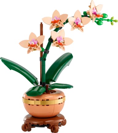 LEGO Botanicals Miniorkidé 10343