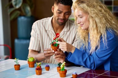 LEGO Botanicals Små växter 10329