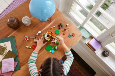 LEGO Animal Crossing Isabelle på besök 77049