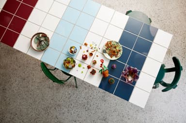 LEGO Botanicals Små växter 10329
