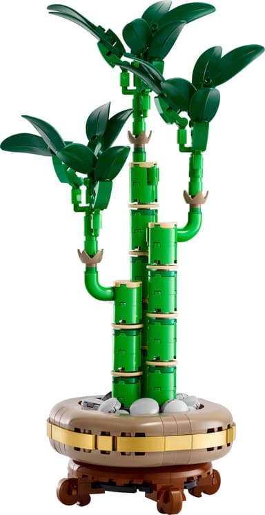 LEGO Botanicals Bambudracena 10344