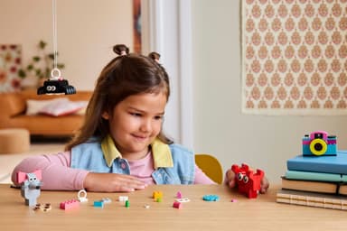 LEGO Classic Kreativ gladlåda 11042