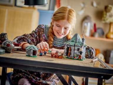 LEGO Harry Potter Hagrids stuga: Ett oväntat besök 76428
