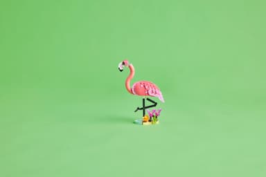 LEGO Creator Vilda djur: Rosa flamingo 31170