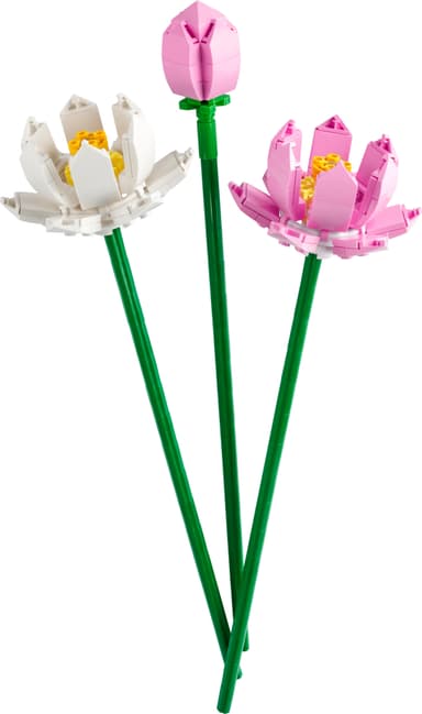 LEGO Botanicals Lotusblommor 40647