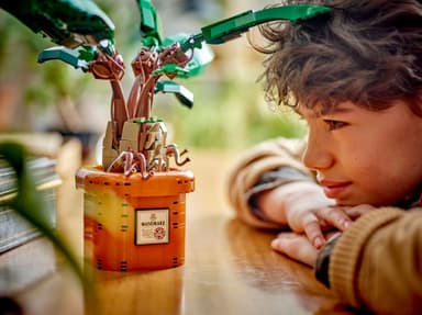 LEGO Harry Potter Mandragora 76433
