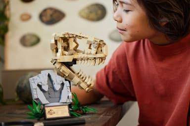 LEGO Jurassic World Dinosauriefossiler: T. rex-skalle 76964