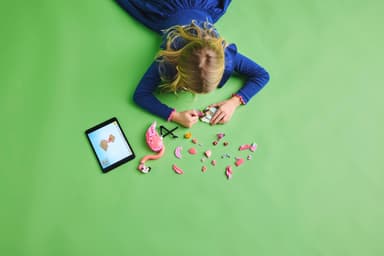 LEGO Creator Vilda djur: Rosa flamingo 31170