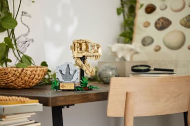 LEGO Jurassic World Dinosauriefossiler: T. rex-skalle 76964