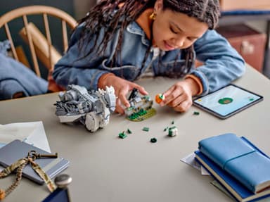 LEGO Harry Potter Vingfåle 76427