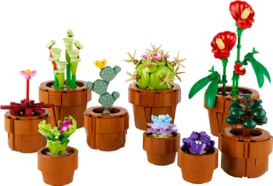 LEGO Botanicals Små växter 10329