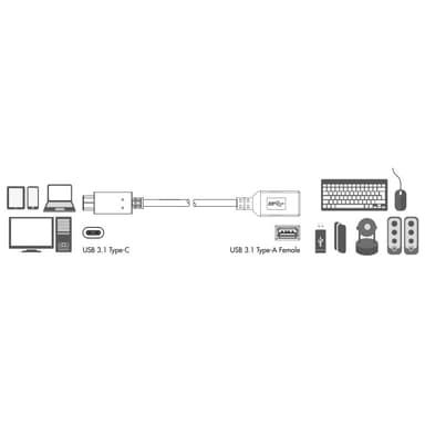 LogiLink USB 3.1 USB-C Ha -> USB-A Ho