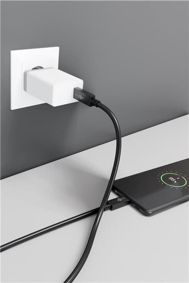 USB-C™ PD laddnings- och synkroniseringskabel 100 W