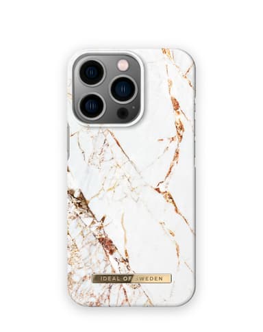 Printed Case MagSafe 13 Pro Cararra Gold