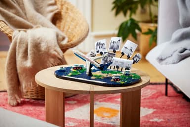LEGO Family Reseminnen 41838