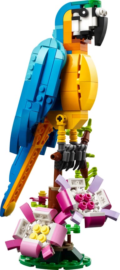 LEGO Creator Exotisk papegoja 31136
