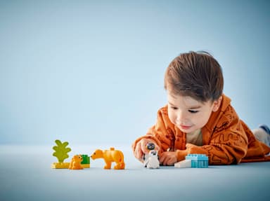 LEGO DUPLO Town Vilda djurfamiljer: Pingviner och lejon 10442
