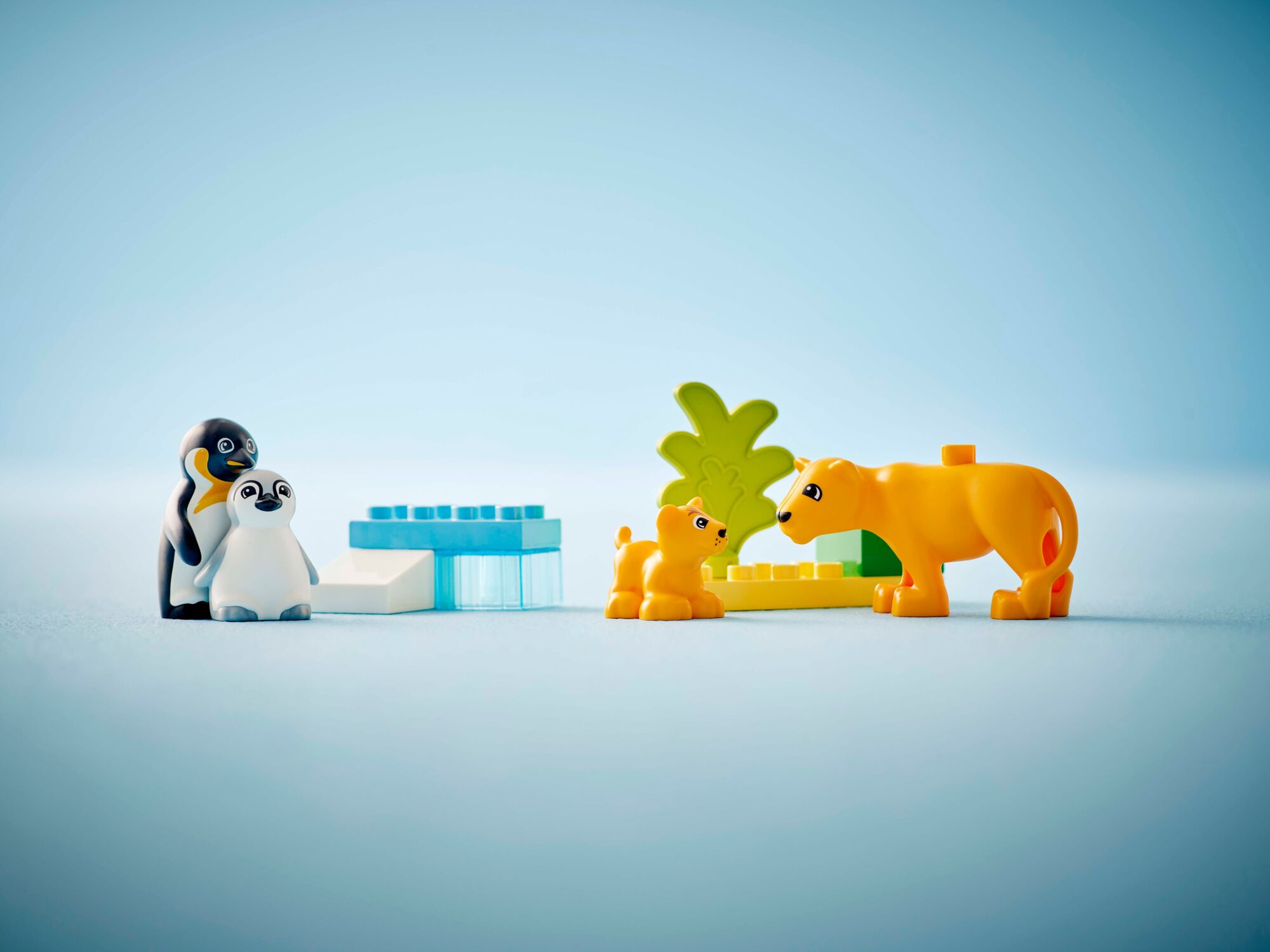 LEGO DUPLO Town Vilda djurfamiljer: Pingviner och lejon 10442