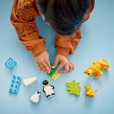 LEGO DUPLO Town Vilda djurfamiljer: Pingviner och lejon 10442